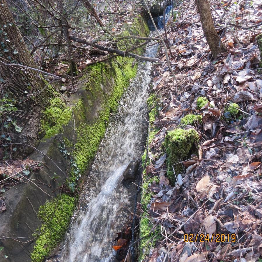Mountain Springs Chalet Gatlinburg Luaran gambar